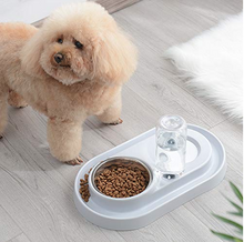 Load image into Gallery viewer, Stainless Steel Pet Bowls with Automatic Water Bottle
