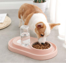 Load image into Gallery viewer, Stainless Steel Pet Bowls with Automatic Water Bottle
